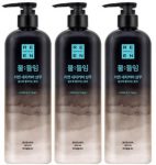 LG생활건강-리엔-물들임-새치커버-샴푸-450ml-2개