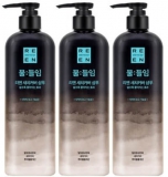 새치 샴푸 추천 TOP5