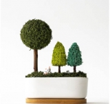 공기정화 식물 추천 TOP5