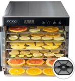 식품건조기 추천 TOP5 구매가이드