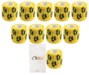 도그아이-반려동물-붕대-신발