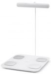 앳플리-아이그립-핸드바-인바디-체성분-체중계